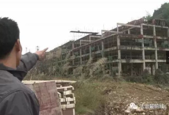 30万买房5年后小区一片杂草 开发商:你去告啊
