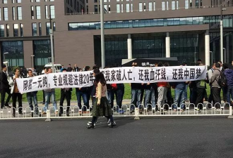 传销骗局史上最全名单：看看国内家人入局了没