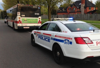 什么情况？多伦多警察涉嫌偷窃TTC巴士