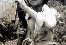 越战后那些曾长相清秀的越南女兵为何无人愿娶