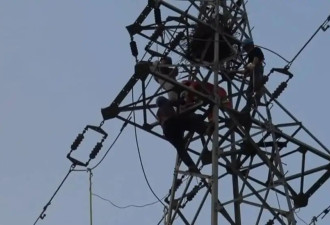 10岁男孩爬30米高压线塔掏鸟窝 触电被困