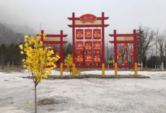 在大年初二，北京终于下了迟来的今冬第一场雪