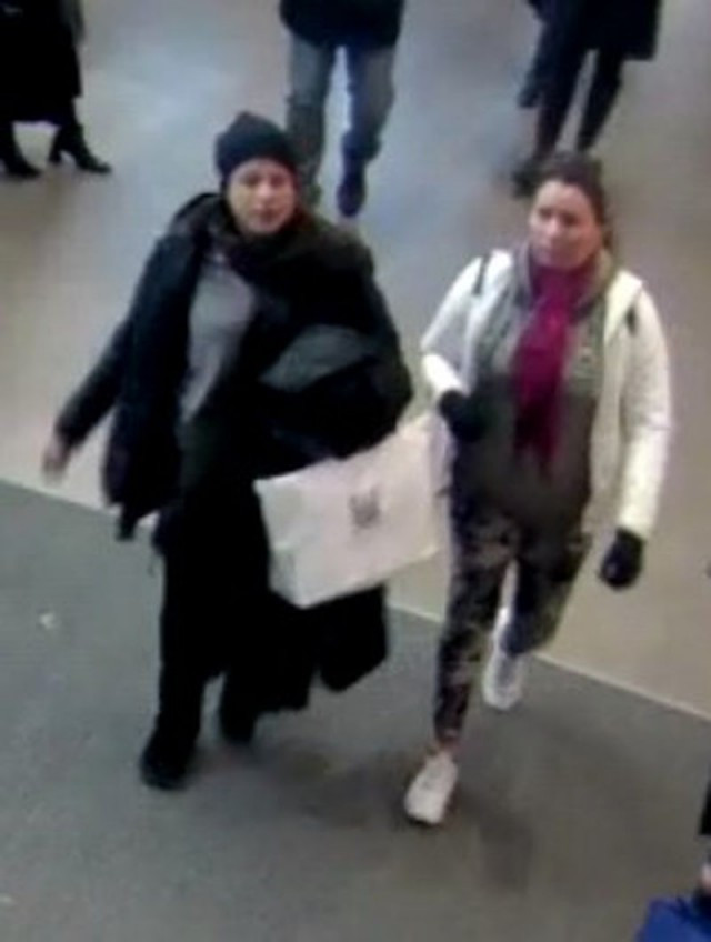 Two women wanted in a theft and fraud investigation