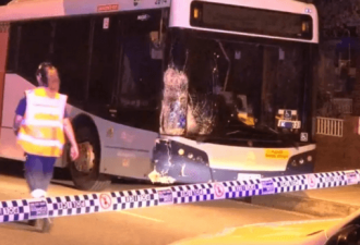 悉尼公交司机开车玩手机，致俩华男当场死亡！