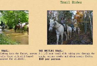 多伦多农庄Trail Riding：骑马好去处