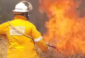 澳洲主题公园附近发生大火 周边住户被紧急疏散