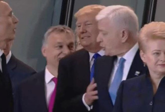 黑山总理回应被特朗普推开插队他走前面很自然