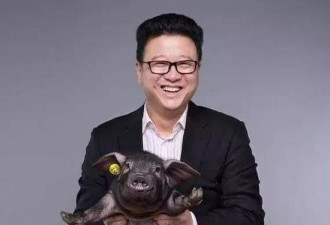 丁磊、马云、刘强东，互联网大佬爱上AI养猪？