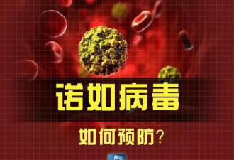 上海一小学45名儿童呕吐 多人检出诺如病毒
