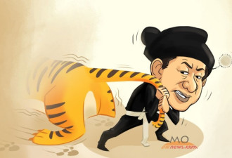 俄媒：还有多少只大老虎仍逍遥法外？