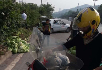 数百公斤白菜散落在路边遭哄抢 村干部制止