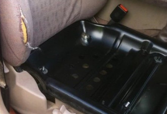 澳洲司机们用牛奶箱、水桶当座椅开车上路