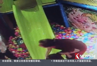 4岁孩将2岁童推下滑梯 其父暴怒狠踹 网友炸了