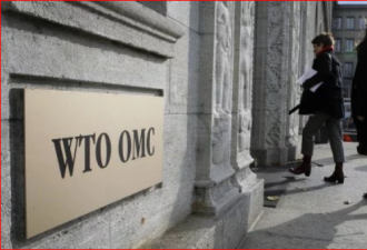 中美WTO再交锋，贸易战或添新变数