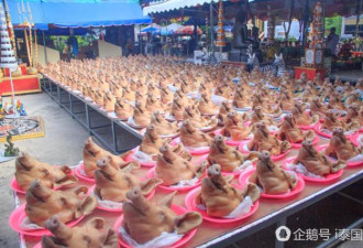 包工头在寺庙摆500只猪头还愿 免费送民众