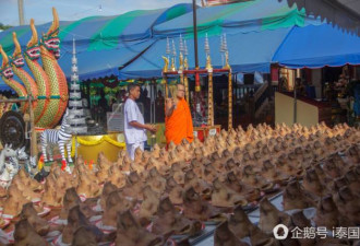 包工头在寺庙摆500只猪头还愿 免费送民众