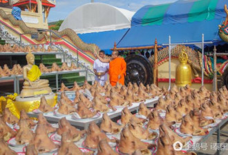 包工头在寺庙摆500只猪头还愿 免费送民众