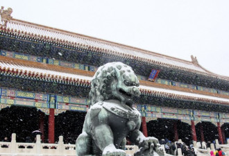 铅华洗尽之后，一场华丽春雪惊艳了整座北京城