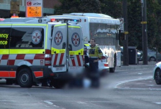 悉尼公交撞人！70岁老人横穿马路被撞 当场死亡
