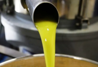 加拿大超市或有大批掺假橄榄油 食检局大抽查