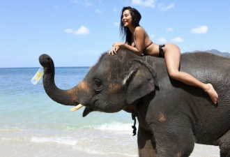 泰国女模海边湿身拍大片 骑大象嗨玩秀傲人美胸