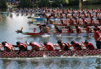 多伦多国际龙舟节延至9月举行
