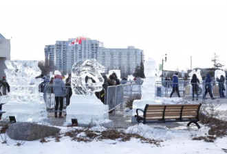 现在可以光临万锦冰雪节看哈尔滨的冰雕