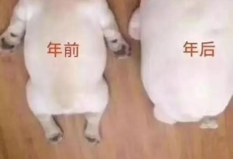 后备厢摄影大赛又开始 最怕家人送行时的目光