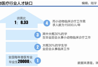 花数万给狗治病？兽医建议购买宠物保险省开销