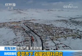 青海玉树雪情严重:18080头牲畜死亡正紧急救援