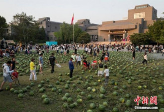 中央美院一夜变&quot;瓜田学院&quot; 吸引不少吃瓜群众