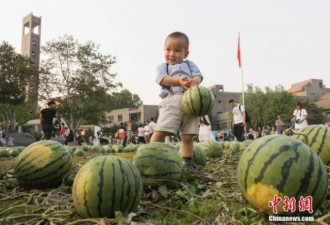 中央美院一夜变&quot;瓜田学院&quot; 吸引不少吃瓜群众