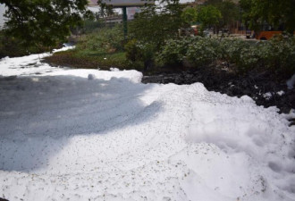 数米厚毒泡沫堵爆印度第三大城 如夏日飞雪