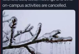 冰雨影响，多所大学关门停课