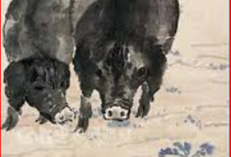 猪年到！中国最贵的猪竟是它