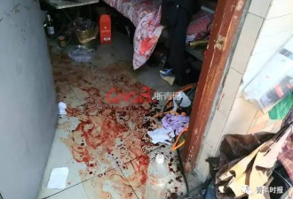 女子被前同事捅7刀 共事时曾多次遭他毒打