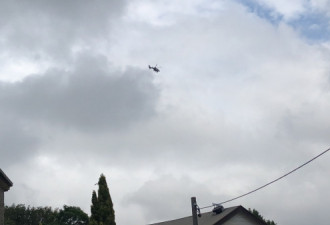 快讯：悉尼亚裔男童失踪，警方出动直升机寻人