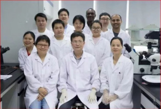 厉害了：中国科学家找到办法成功治愈晚期癌症