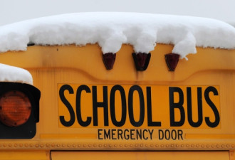 周三冰雨袭击大多伦多地区 校车取消学校关闭