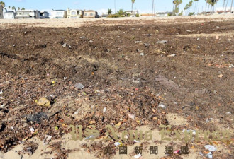 加州直击：暴风雨一周过后 海滩竟变大垃圾场