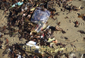 加州直击：暴风雨一周过后 海滩竟变大垃圾场