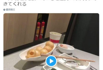 海底捞给单身狗送小熊视频在日本火了 网友爆哭