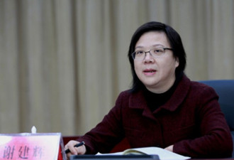 半年二度履新 湖南女副省长任省委常委