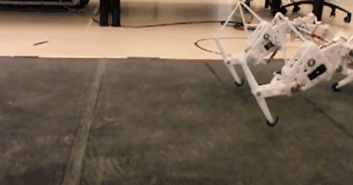 自然界的灵感:新型节能机器人模仿猎豹奔跑方式