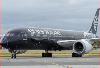 新西兰客机折返事件 总理回应：无关新中关系
