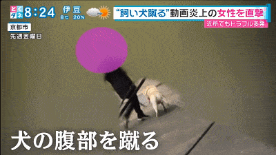 日本大妈狂踢狗狗肚子视频流出！称不是虐待