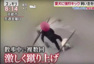 日本大妈狂踢狗狗肚子视频流出！称不是虐待