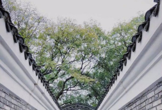 早春毛衣选哪款？各路街拍今年流行带点“花”