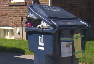 多伦多开始检查回收垃圾桶 乱丢拒收或吃罚单