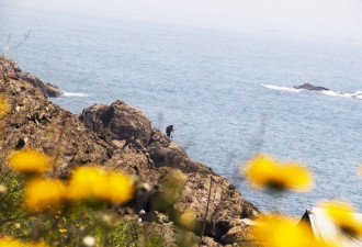 这条繁花盛开的沿海公路实在太美了